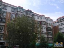 浩达公寓 2室1厅 南 北