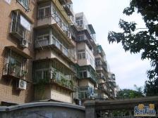 金苑公寓业主急售随时看房价格可议