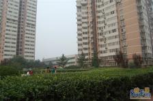 青年路小区2室1厅南北