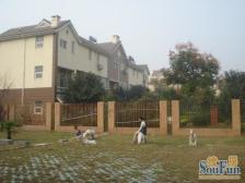 家和万世西区 6室3厅 南 北