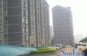 新海苑实景图