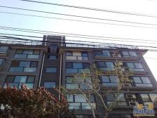 带电梯板楼 一梯两户 封闭式管理 人车分流