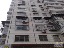 朝阳十佳示范小区樱花园低楼层南北通透两居室