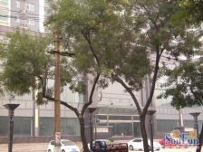 过度一居室 生活便利 交通方便 随时看房