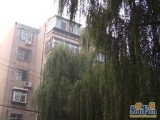 正规两室,有小房,业主诚意出售,