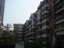 南开区体育中心街金福里5室2厅