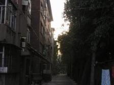 向阳路街·延安楼·1室·1厅