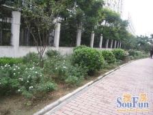 满二年唯一住房,大三房,得房率高