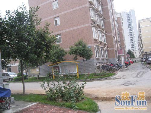  ԣ����Է6��2��2���ϱ�����3300.00Ԫ/�³��� 