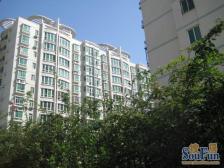 文博花园 低楼层 双气 小户型 总 价 低