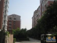 全屋家具家电齐全 价格合适可以留下 多层2楼 全新装修