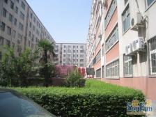 满五不唯一,标准三房明厨明卫,诚心出售