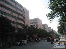 桃园洋房 6室2厅 南 北