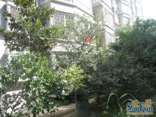 兴达花园 2室1厅 南