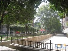 兴隆花园 大三房 黄 金 3 楼 诚心出售 急卖