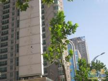 中孚紫东苑 4室2厅 南 北