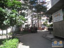 紫荆小区精装修双气标准一室一厅中间楼层看房方便