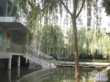 4中南 楼层好 商业配套齐全 近地铁 交通便利 近医院