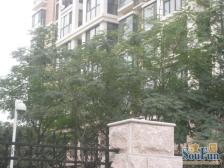 郑东管委会房子,独特小区管理,免费车位,户型比较好