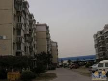 马驹桥·新海北里·2室·1厅