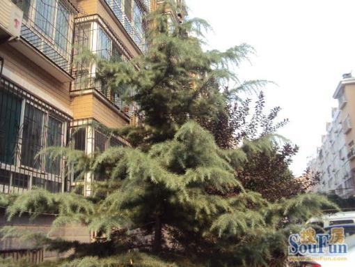  ����С��2��2��1���ϱ�����2000.00Ԫ/�³��� 