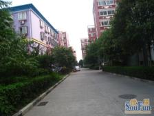 公园茂旁 翠竹苑一楼带院 满五年 随时看房