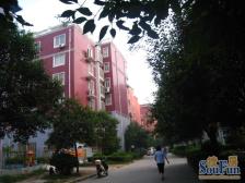 多层小区得分率高,低楼层两房,配套齐全