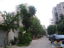 尚陇西 电梯洋房 双气 南北透气 精装修 业主诚售