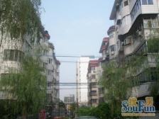 芙蓉花苑 3室2厅 西