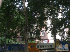 南阳路209号 2室1厅 南