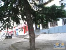 南阳路242号院 2室1厅 南 北