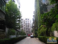 陇海路南关街2003年,南北朝向标准一房一厅,一层两户