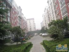 交通路幸福路 06年小区 电梯精装一室