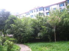 省委家属院 双气三房 能贷款