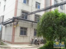 华水家属院 低密度社区 中间楼层