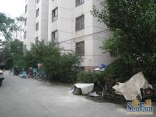 电力公司家属院,绿城广场旁,地铁1号线,均价9千