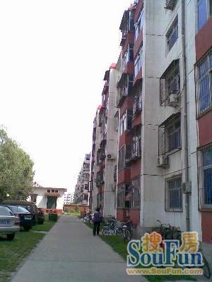 钟鼓小区实景图
