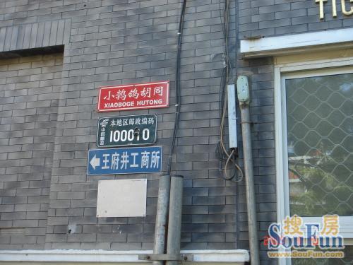 小鹁鸽胡同实景图