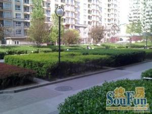 北三环内南北通透三室一厅,不临街.1996年楼龄