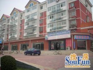 百合园小区 精装修 三层 无遮挡