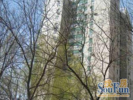 新德街37号院