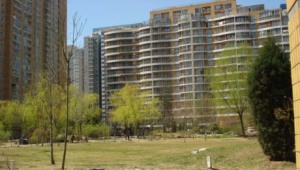 南厂住宅中区2室1厅东西