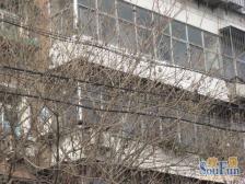 此房满五唯一,采光好 房主诚意出售,看房方便