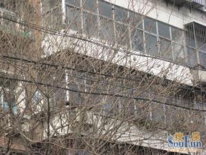 店长推荐低楼层精装修双阳好户型采光倍棒