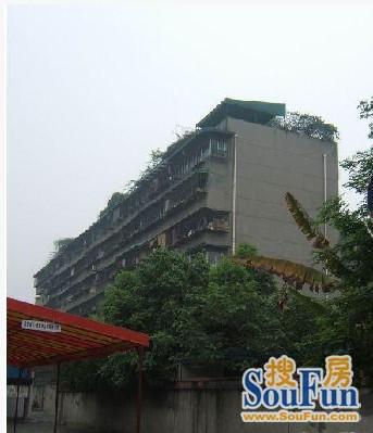 酒厂宿舍实景图