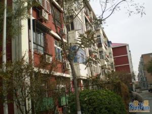 桃源里3室1厅南北