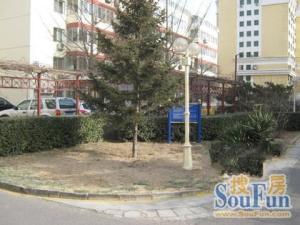 恩济庄97号院 3室1厅 南 北 西