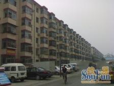 果园新里中区6号楼1单元501