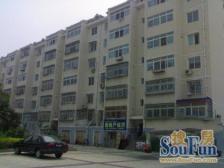 果园新里中区 3室2厅 南 北