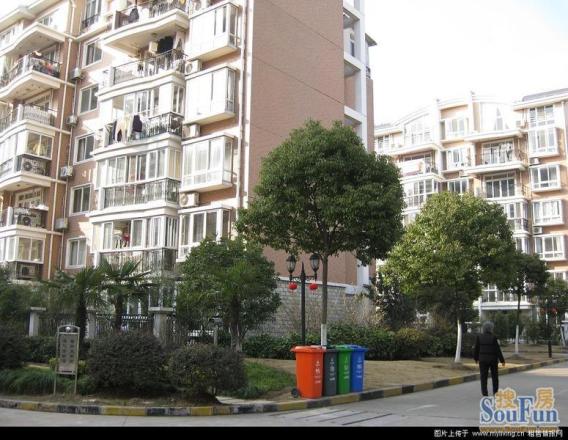 莲馨苑实景图